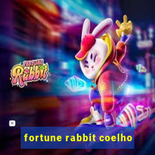 fortune rabbit coelho